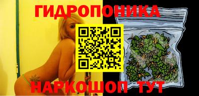 ешки Лесосибирск