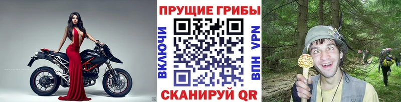 Галлюциногенные грибы GOLDEN TEACHER  Ижевск 