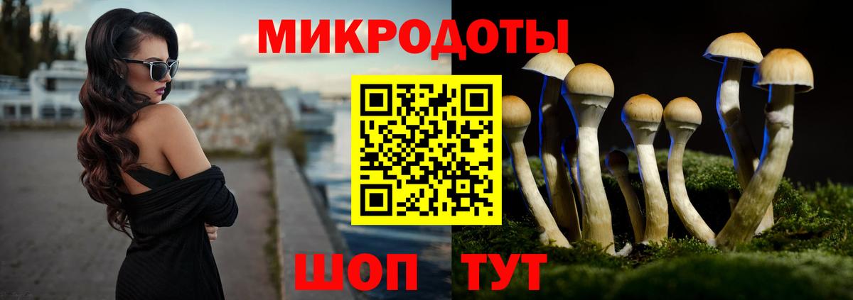 Псилоцибиновые грибы прущие грибы  Вход с VPN  купить   Ижевск  Галлюциногенные грибы Cubensis 
